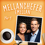 Mellanchefer emellan Avsnitt 1, misstankar om missbruk