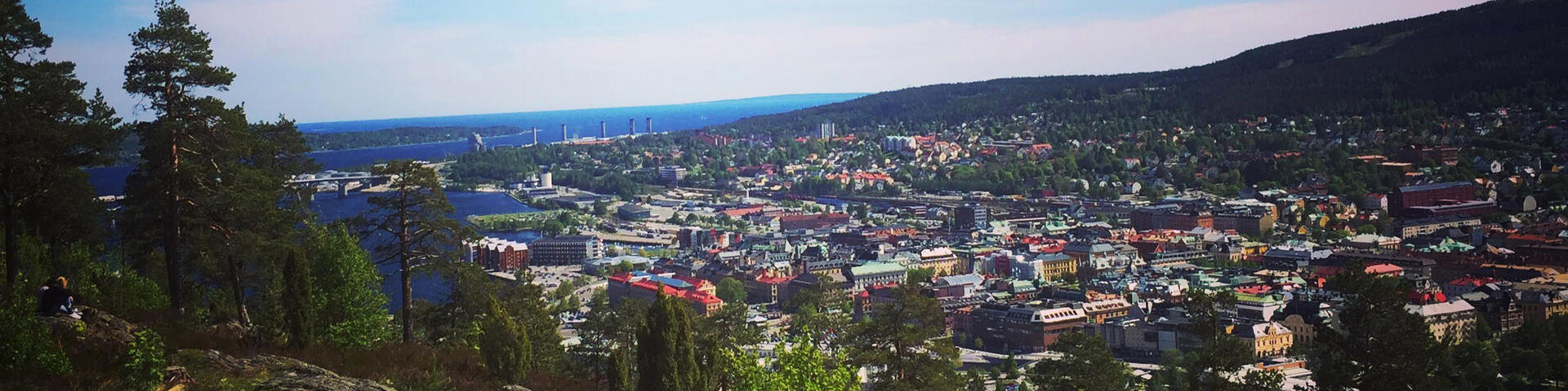 En vy över Sundsvall tagen från Norra berget med tallar och berg i förgrunden, staden nedanför berget. I horisonten syns Södra berget och havet.