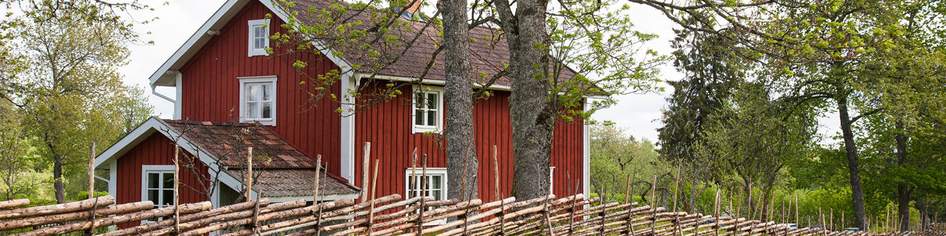 Röd småländsk stuga bakom gärdesgård i lantligt sommarlandskap