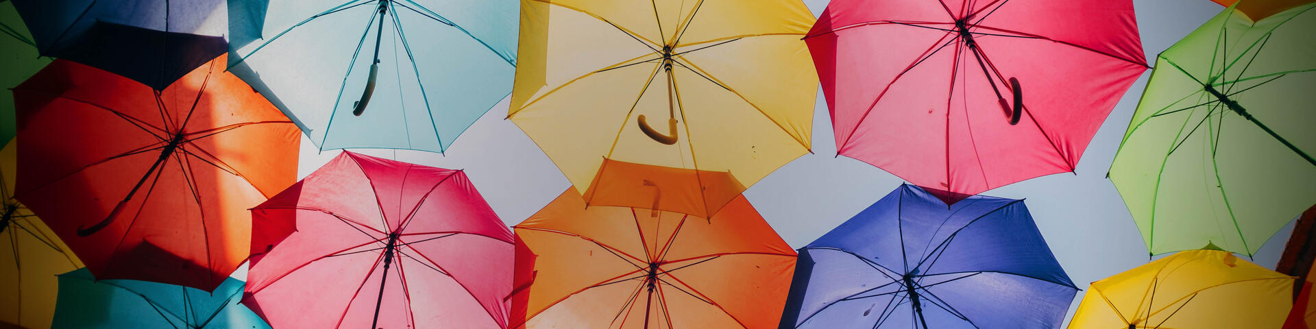 Paraplyer i olika färger - Försäkringar för dig, ditt hem och din familj