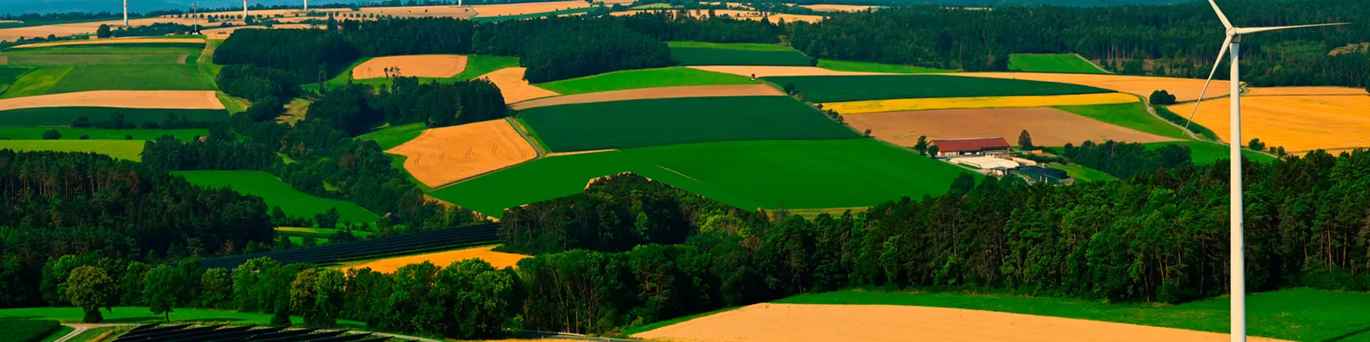 Jordbrukslandskap med vindkraftverk