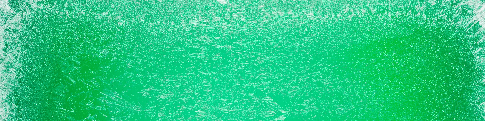 En grön bild med frost på.