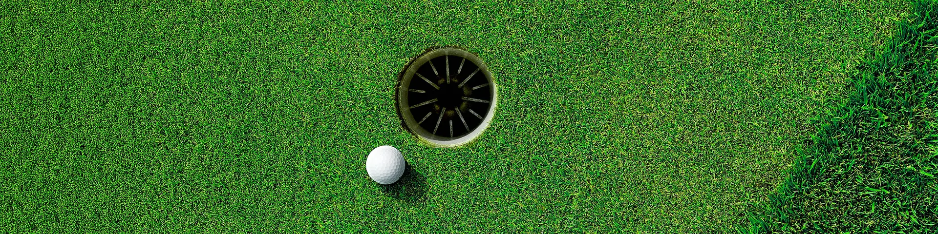 Boll och hål på en golfgreen
