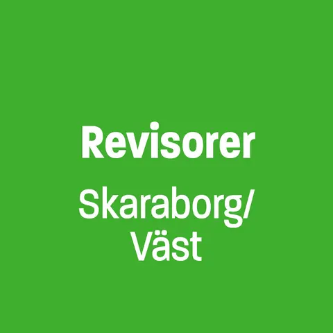 Revisorer Skaraborg/Väst