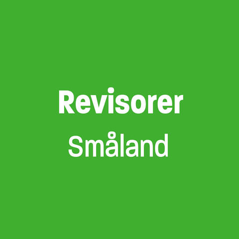 Revisorer Småland