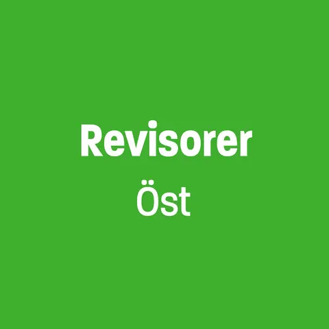 Revisorer Öst