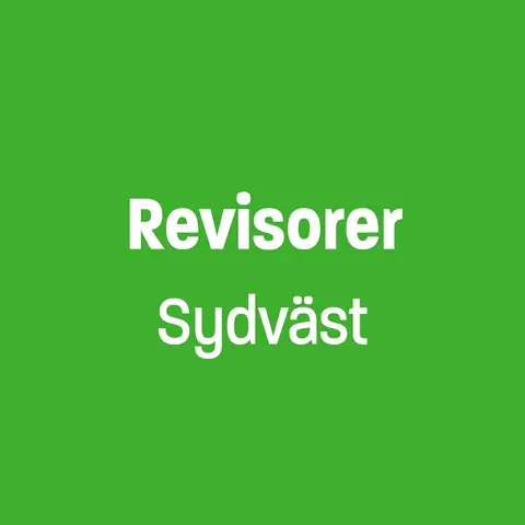 Unionen Sydväst revisorer