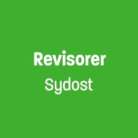 Revisorer Sydost
