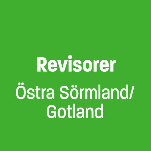 Revisorer Östra Sörmland Gotland