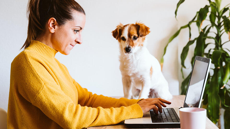 Person som sitter vid en dator med en hund