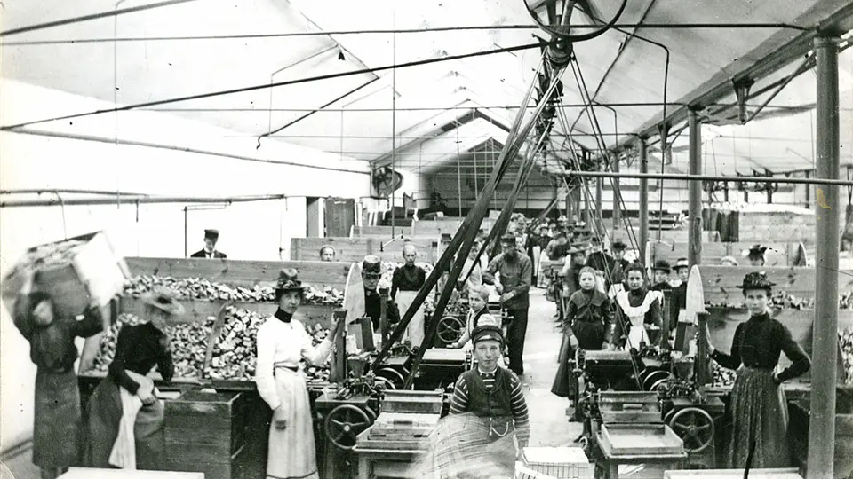 Vulcans tändsticksfabrik i Tidaholm 1 maj 1905. Foto Gustav Lidberg.