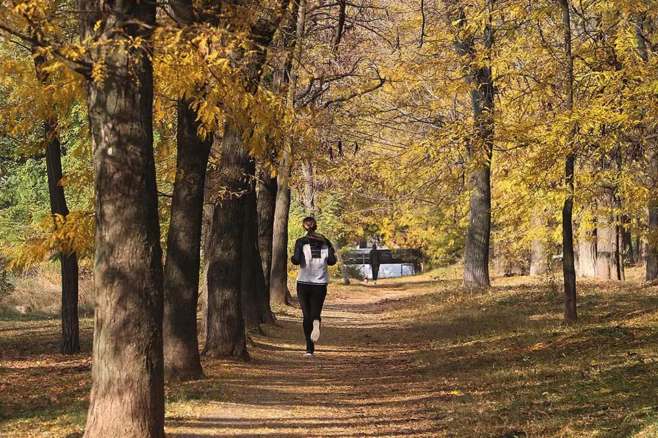 Kvinna joggar i skogen 960x640