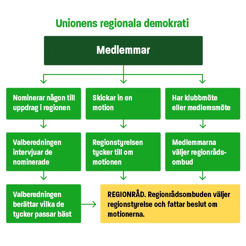 Schematisk bild över hur medlemmar påverkar på regionrådet, genom att nominera, skicka in motioner och välja regionrådsombud. 
