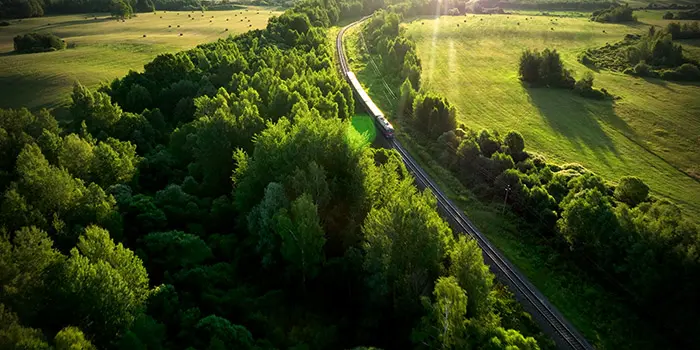 Tåg i grönt landskap
