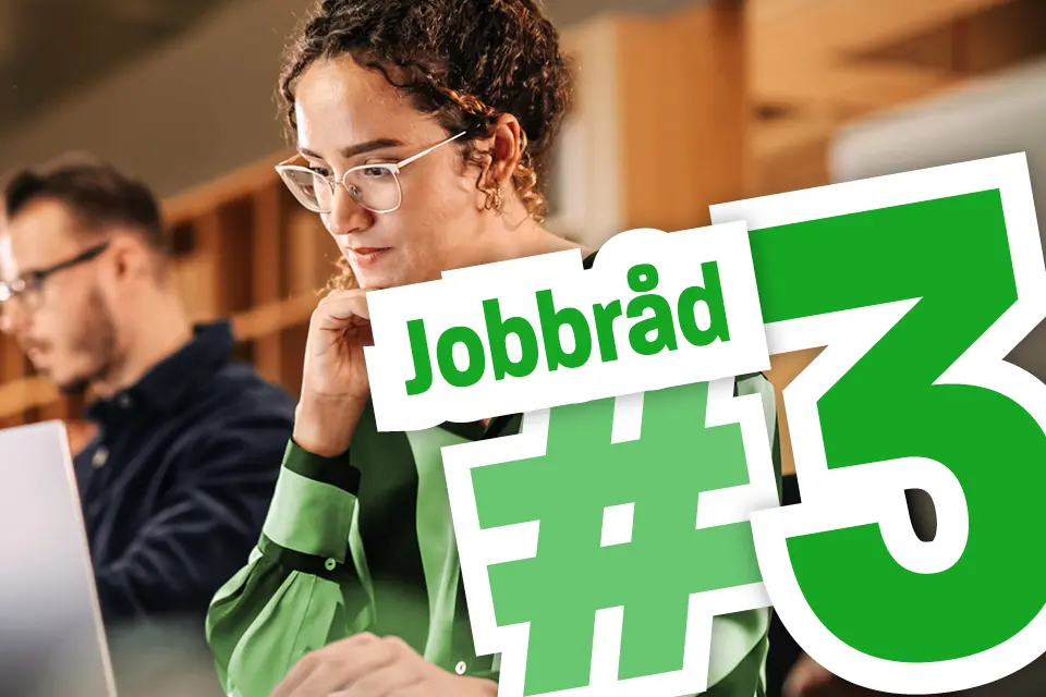 Jobbråd 3