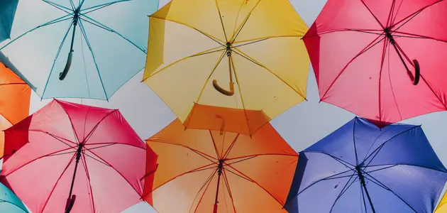 Paraplyer i olika färger - Försäkringar för dig, ditt hem och din familj