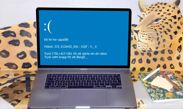 Bild på en datorskärm som visar en bluescreen.