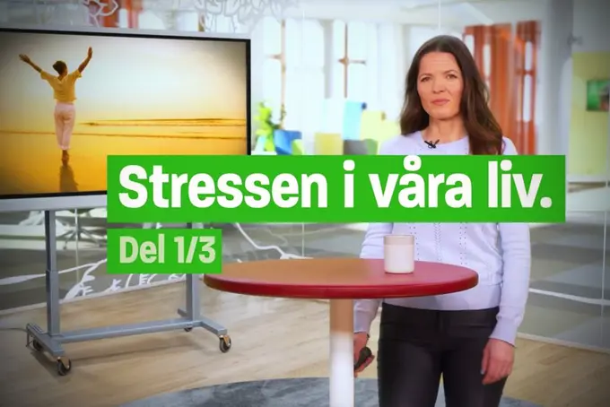 tv-skärm talare