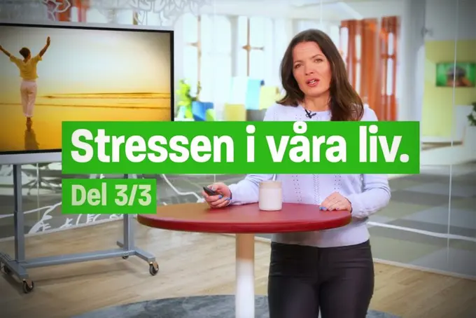 Tv-skärm person står och pratar vid ett ståbord