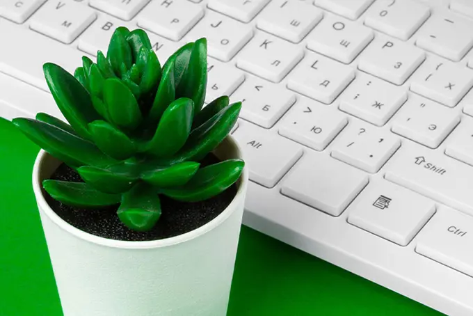 Bild för att illustrera nyhetsbrevet Min Firma