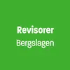 Revisorer Bergslagen